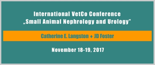 baner nefrologia 2017 EN