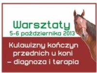 Warsztaty_koskie