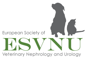 logo esvnu
